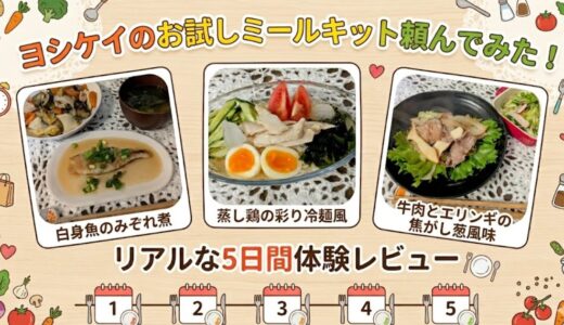 ヨシケイのミールキットはお試しがお得！料金やリアルな体験談・レビューを大公開